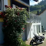 Am Siegelbächle Berg Blickt