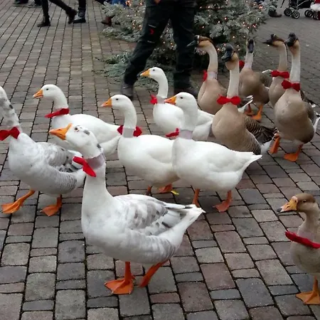 Appartement Am Siegelbaechle Berg Blickt
