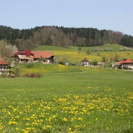 Appartement Am Siegelbaechle Berg Blickt Siegelau