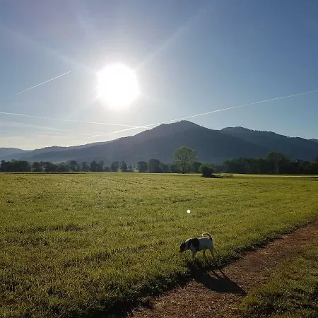 Am Siegelbaechle Berg Blickt Appartement Siegelau