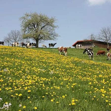 Appartement Am Siegelbaechle Berg Blickt Siegelau