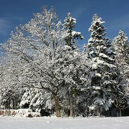 Am Siegelbaechle Berg Blickt Siegelau
