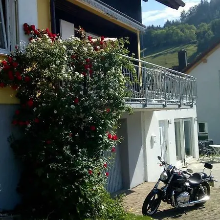 Am Siegelbaechle Berg Blickt