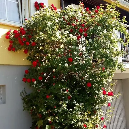Appartement Am Siegelbaechle Berg Blickt