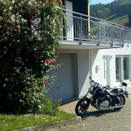 Appartement Am Siegelbaechle Berg Blickt Siegelau