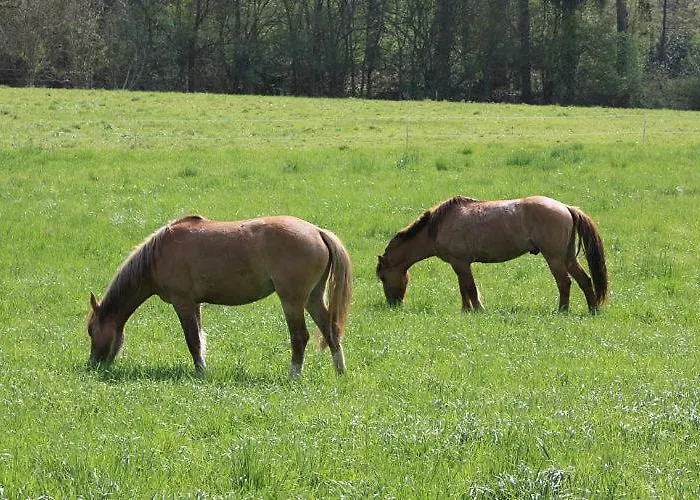 Am Siegelbaechle Berg Blickt Appartement *