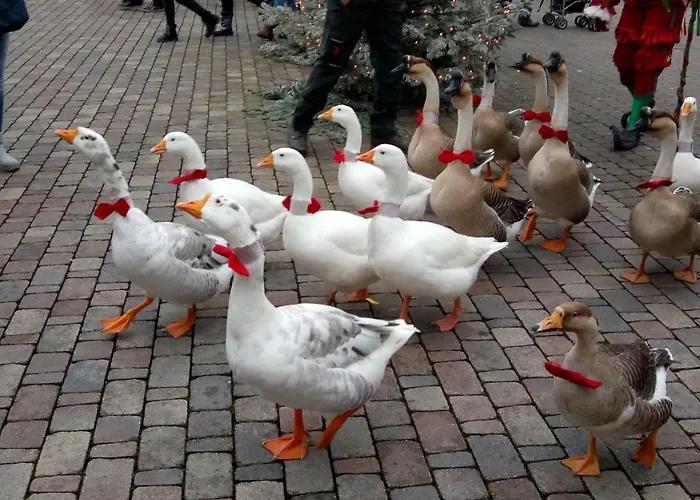 Appartement Am Siegelbaechle Berg Blickt