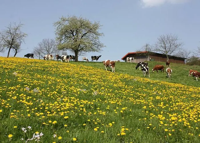 Appartement Am Siegelbaechle Berg Blickt Siegelau