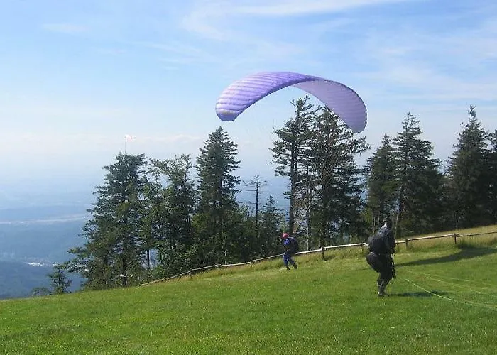 Apartamento Am Siegelbaechle Berg Blickt *