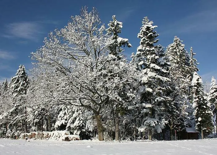 Am Siegelbaechle Berg Blickt Siegelau