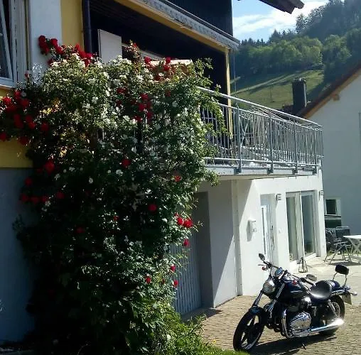 Am Siegelbaechle Berg Blickt