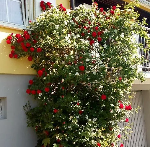 Apartamento Am Siegelbaechle Berg Blickt